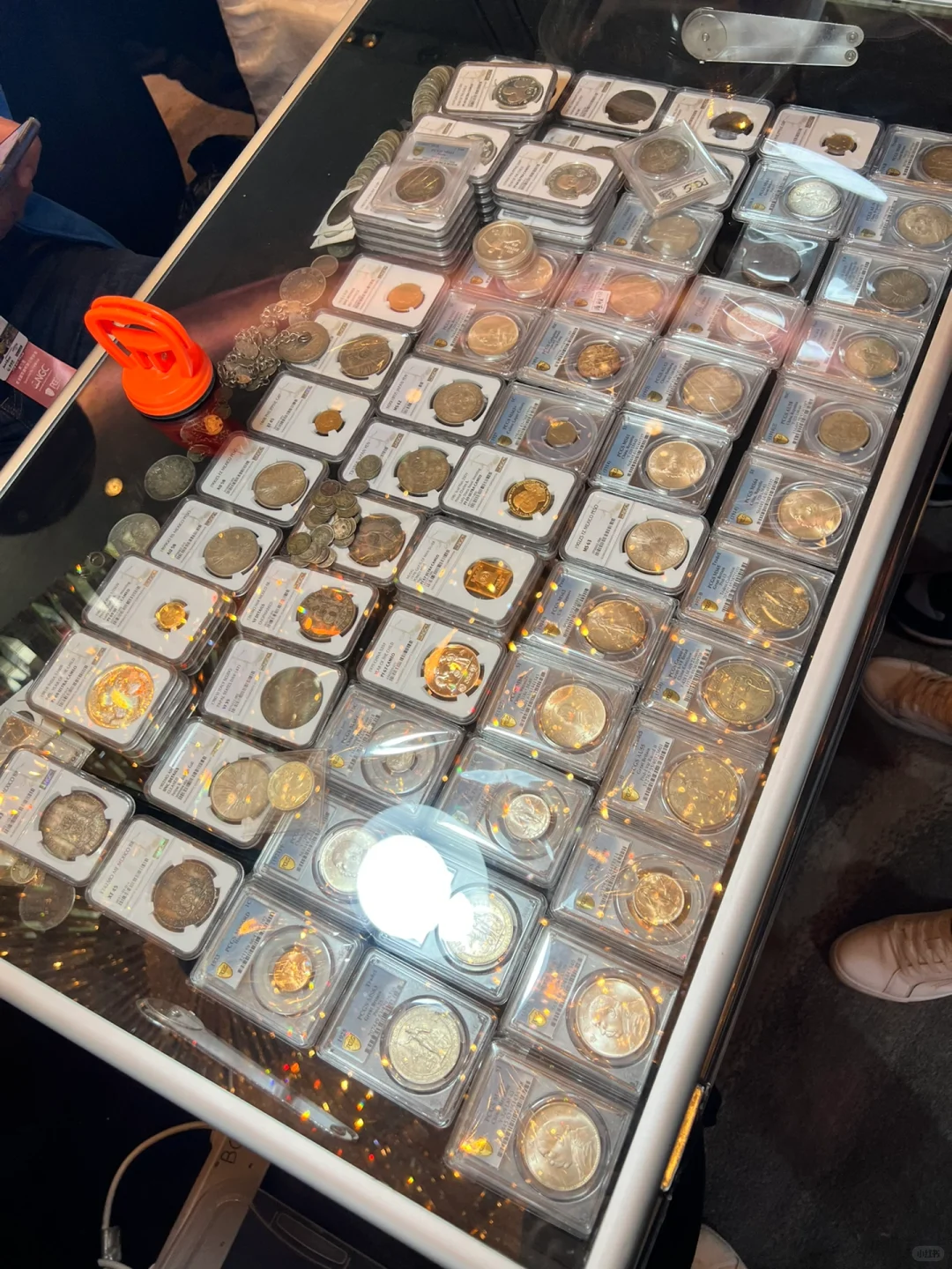 香港钱币展销会|钱币收藏|03.16