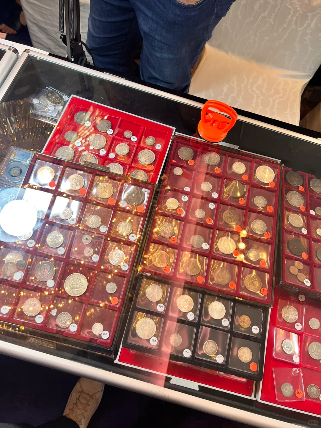 香港钱币展销会|钱币收藏|03.16