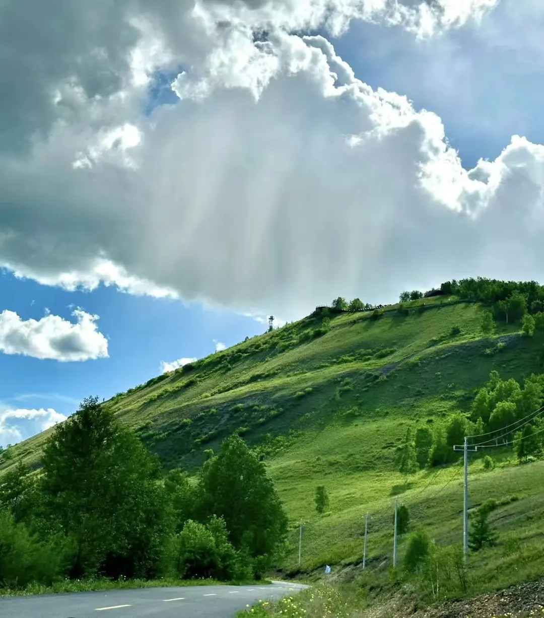 来博览会凑热闹了