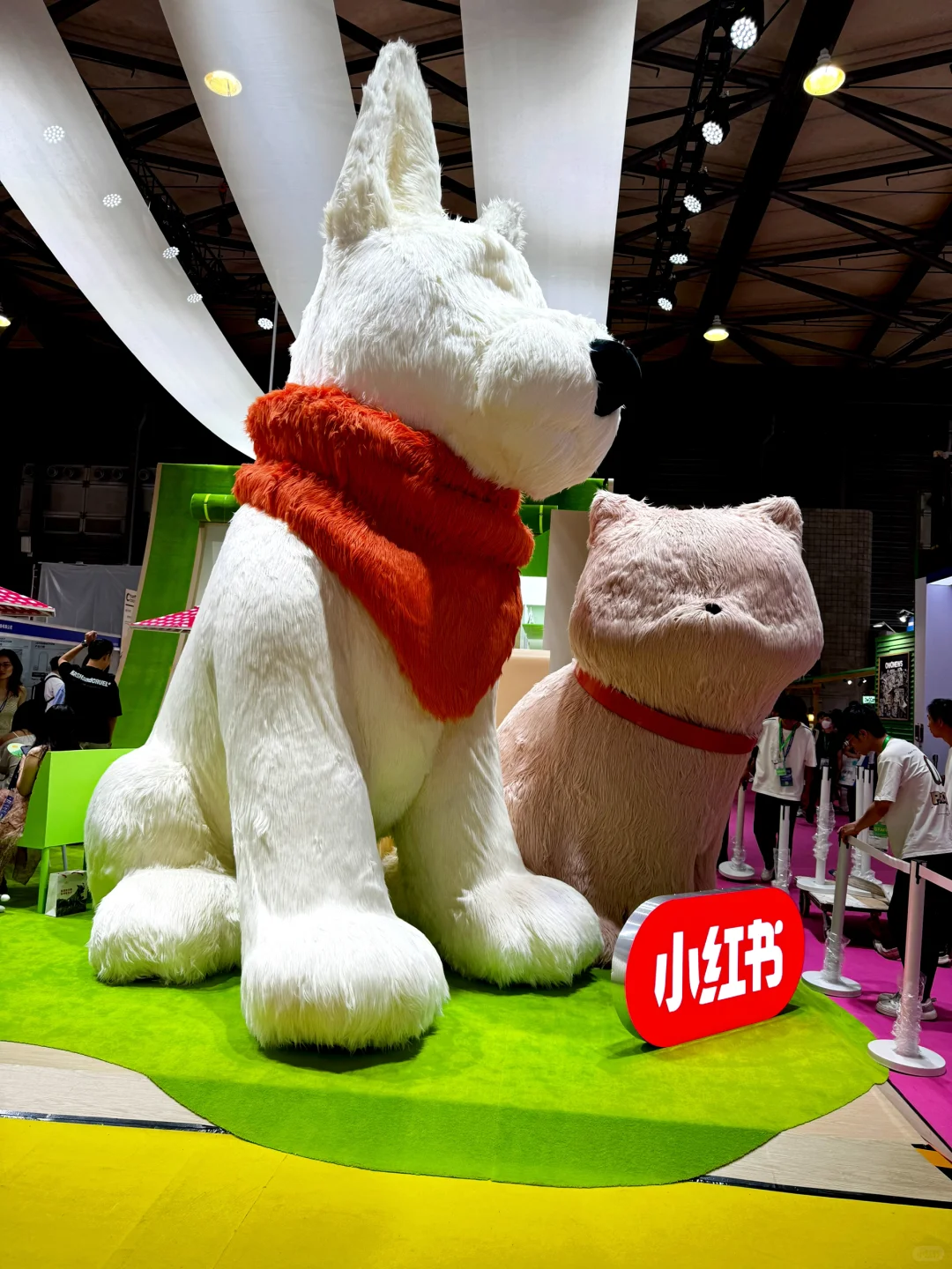 一定要去的展会啊‼️?2025亚宠展