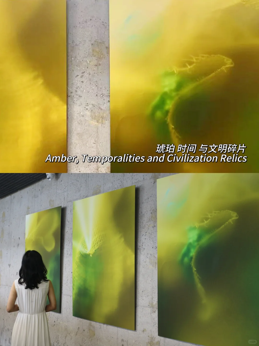 北京新展！三里屯这个艺术展太适合拍照啦！