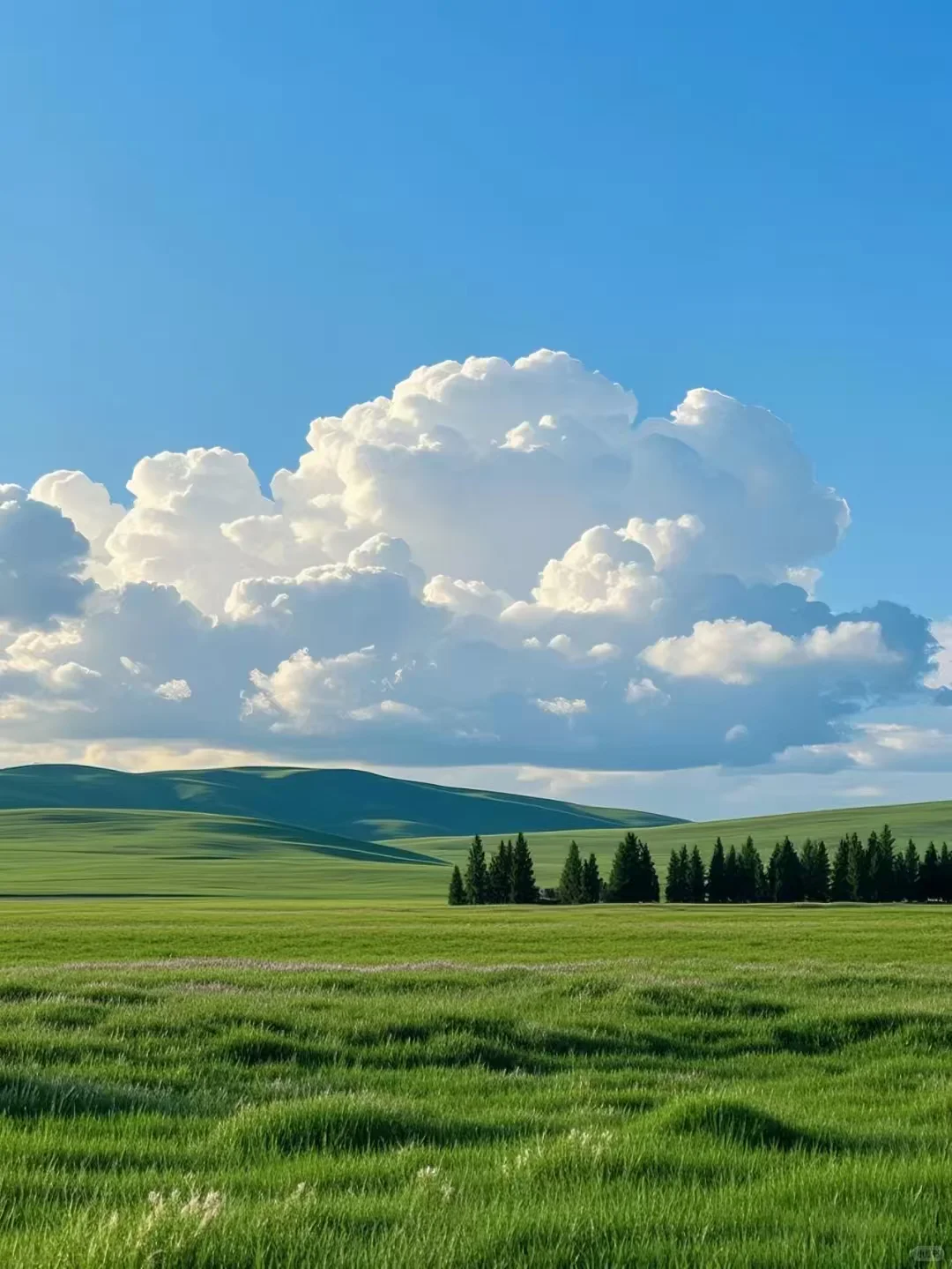 我的胰岛素抵抗改善之路：运动、维D与饮食