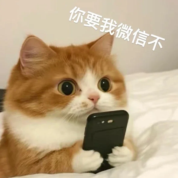 你要我微信不