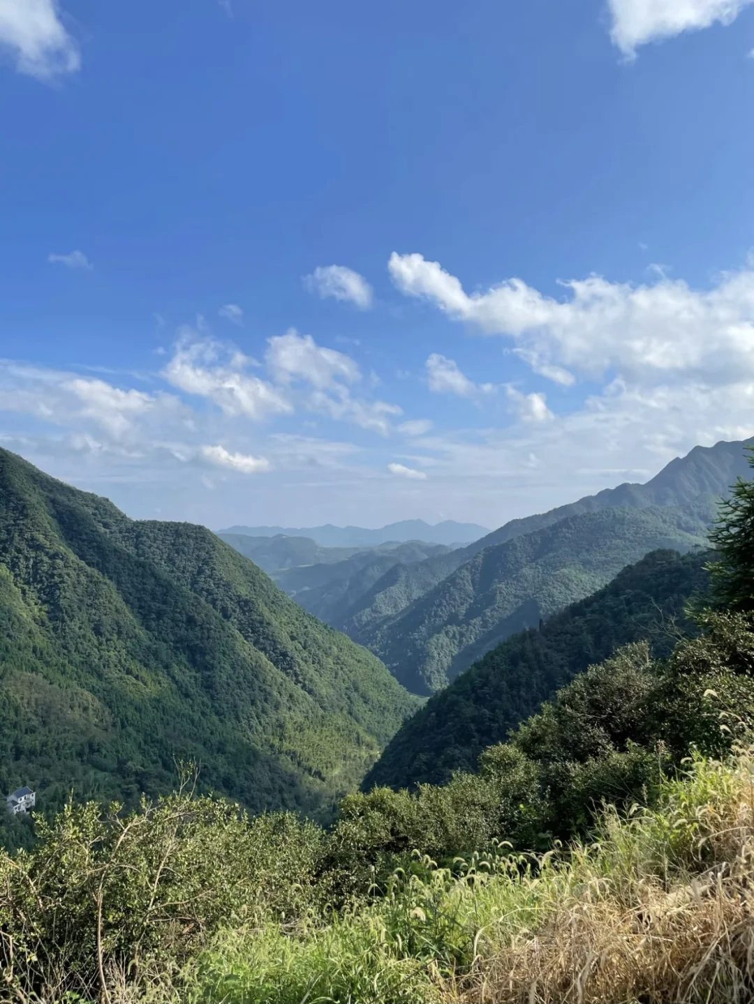 多囊➕胰岛素抵抗,运动+补维D经验分享