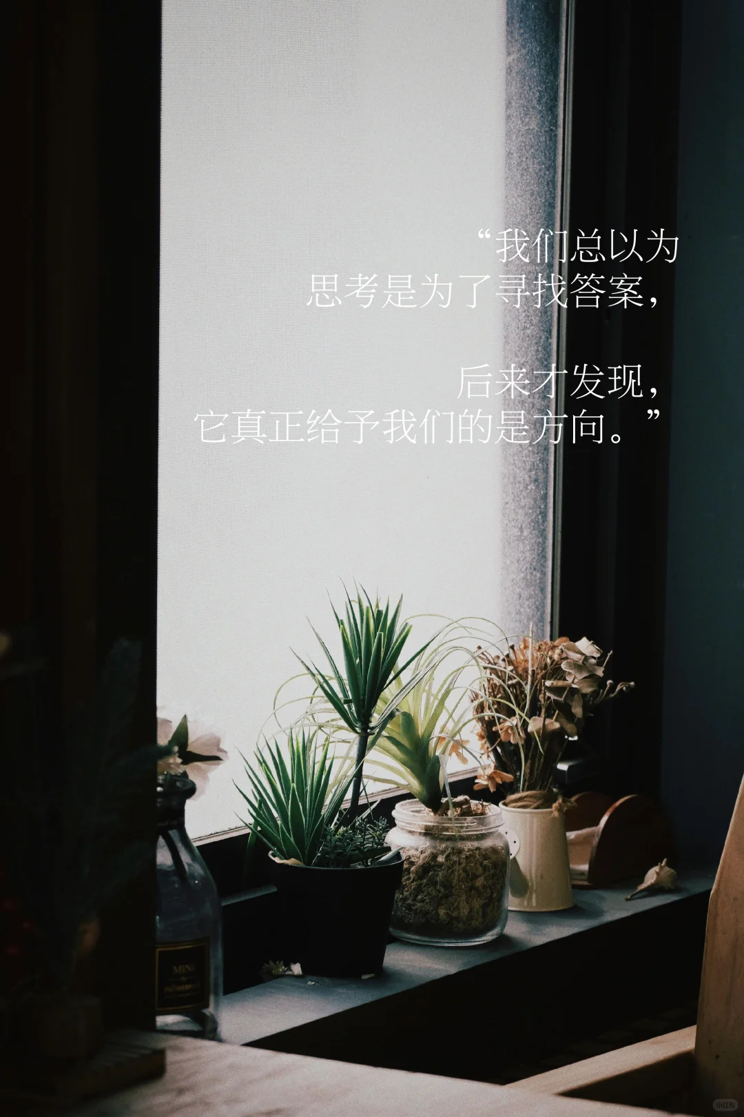 思考，就是我温柔的抵抗