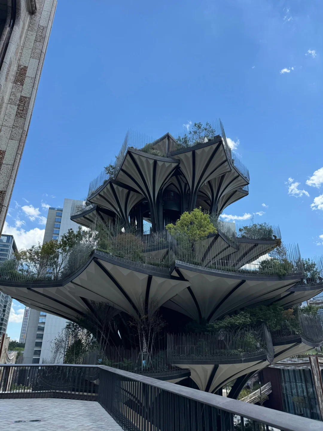 上海新展！这设计也太绝了！