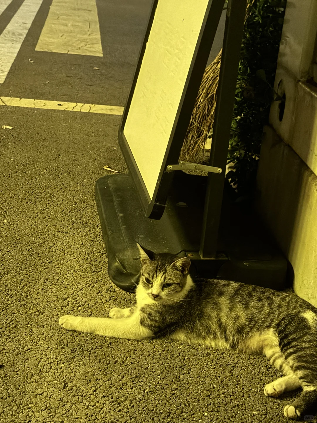 有种自由是穿衣自由 无拘无束的臭美???