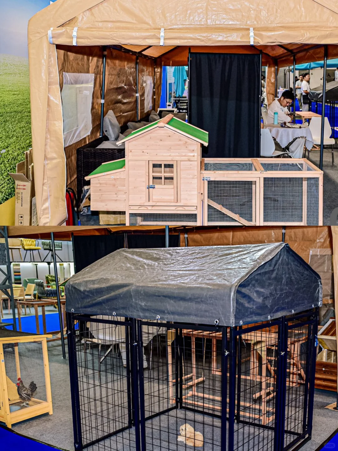 跨境电商选品新宠:宠物类产品的潜力挖掘