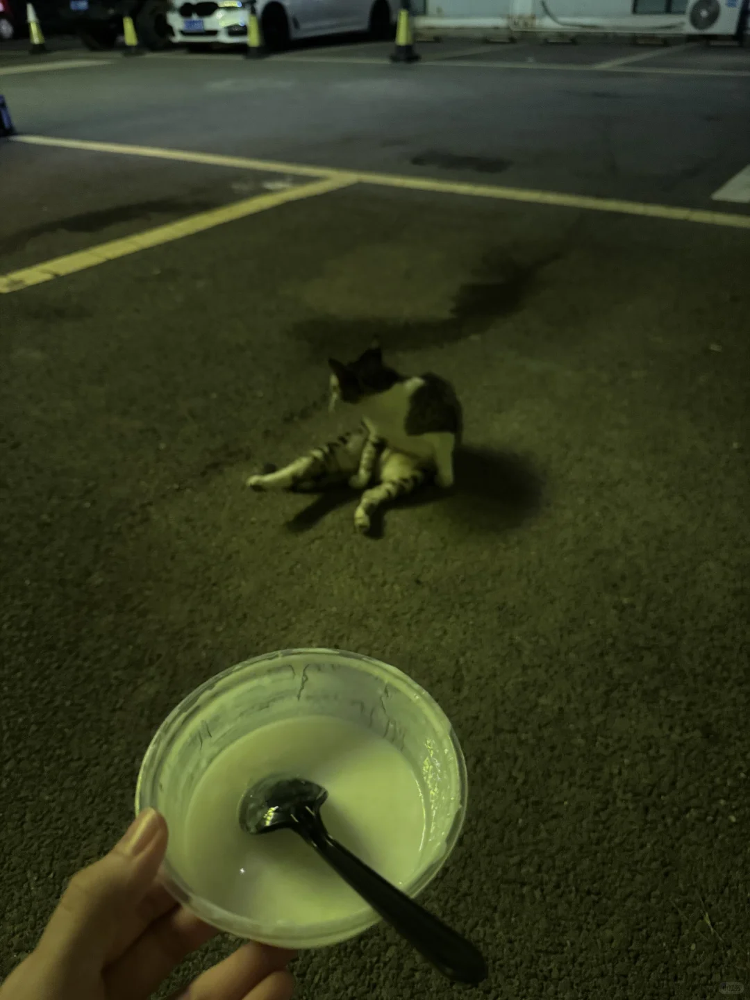 有种自由是穿衣自由 无拘无束的臭美???