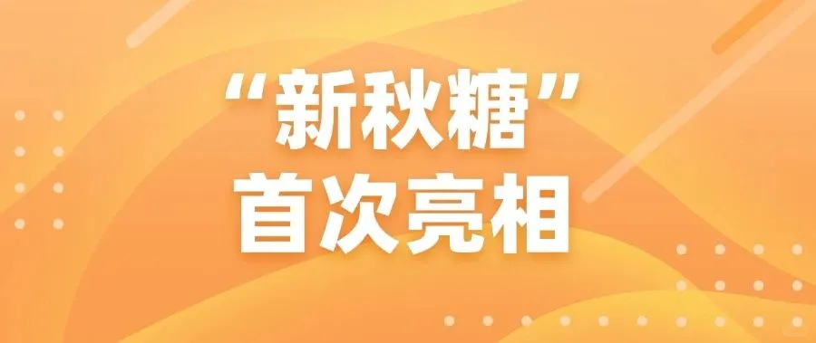 最大的展会即将在建邺举办