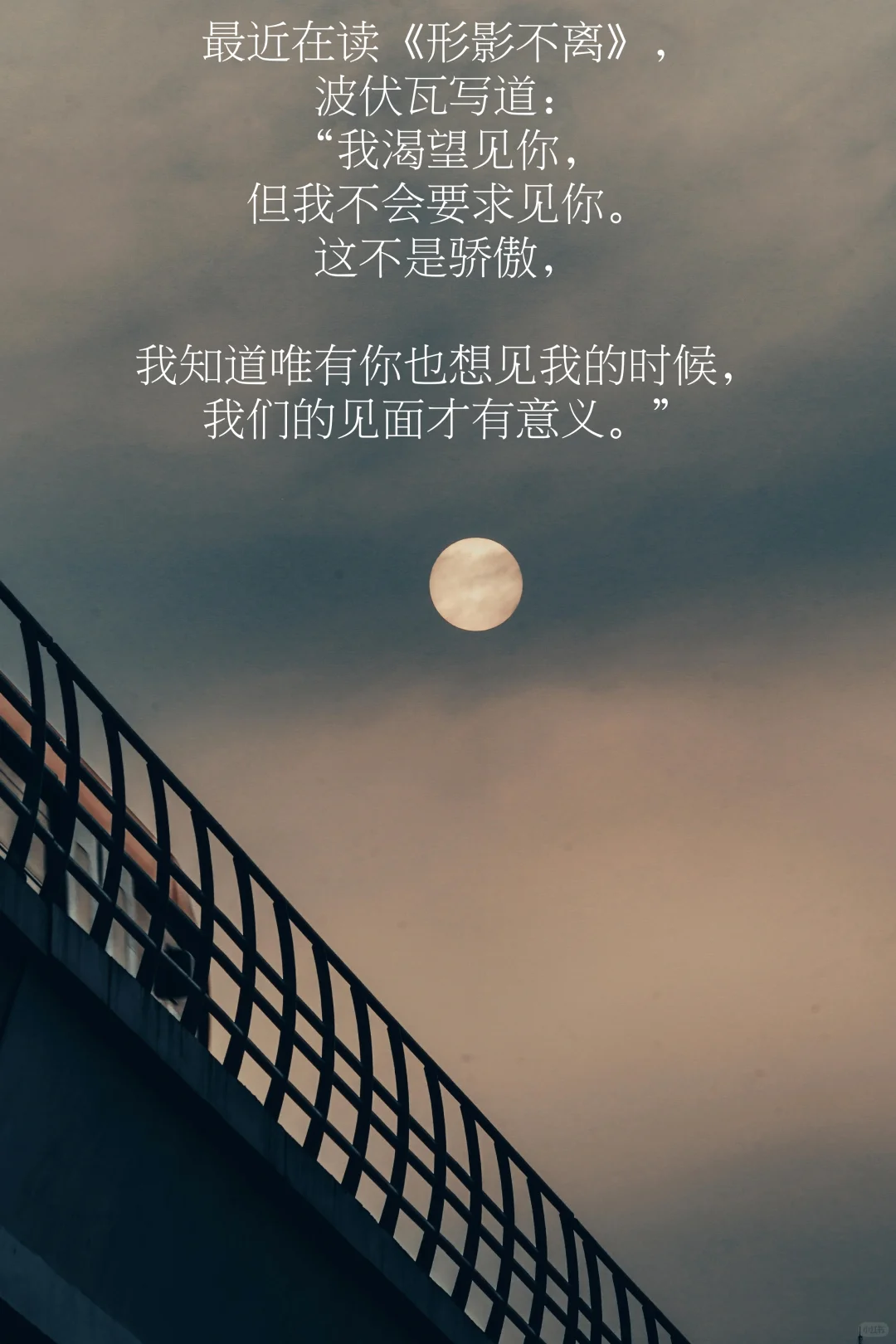 思考，就是我温柔的抵抗