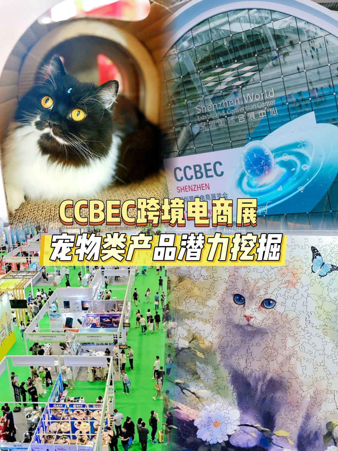 跨境电商选品新宠:宠物类产品的潜力挖掘