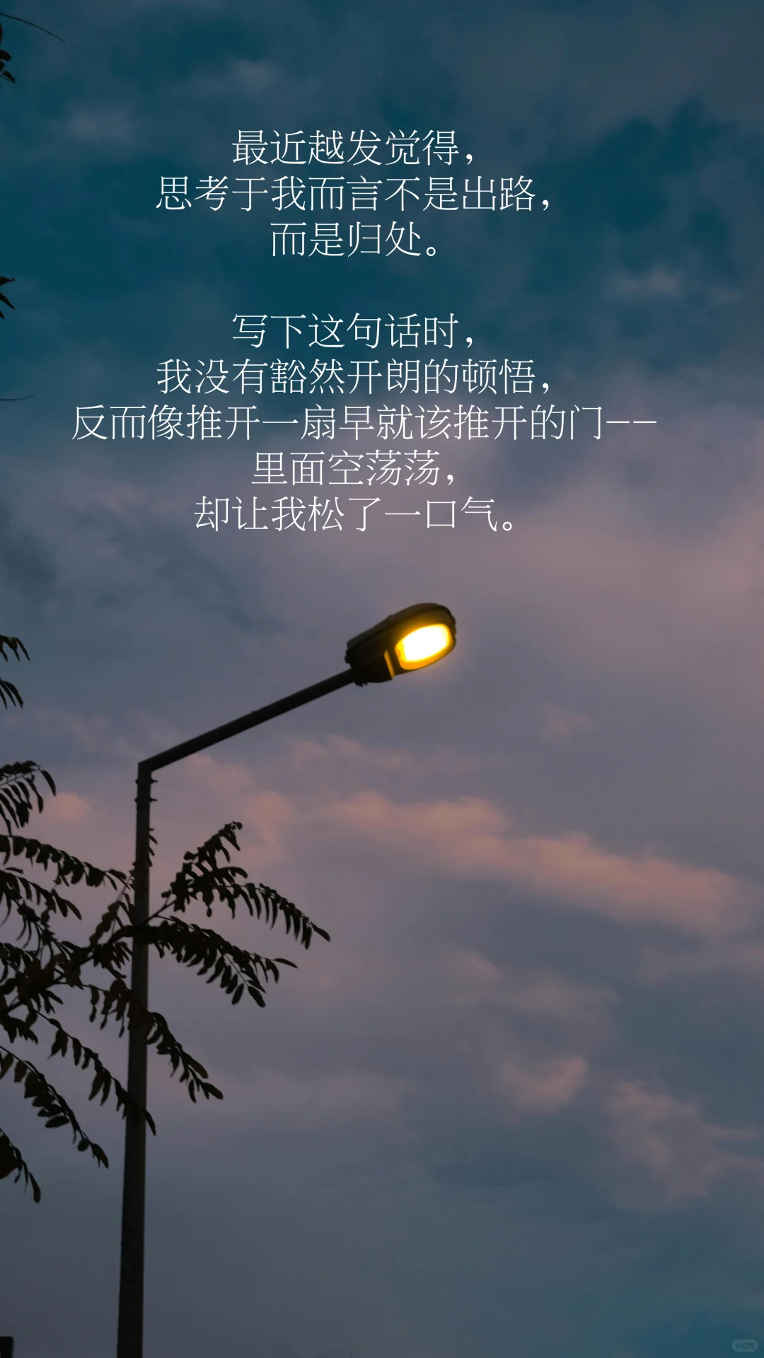 思考，就是我温柔的抵抗