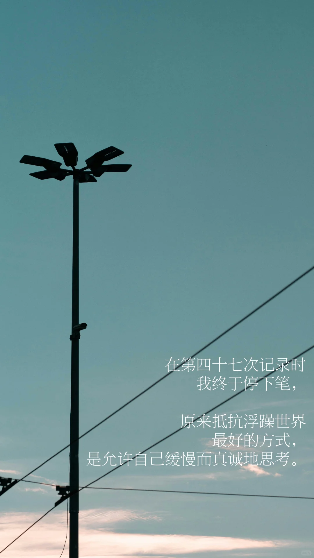 思考，就是我温柔的抵抗