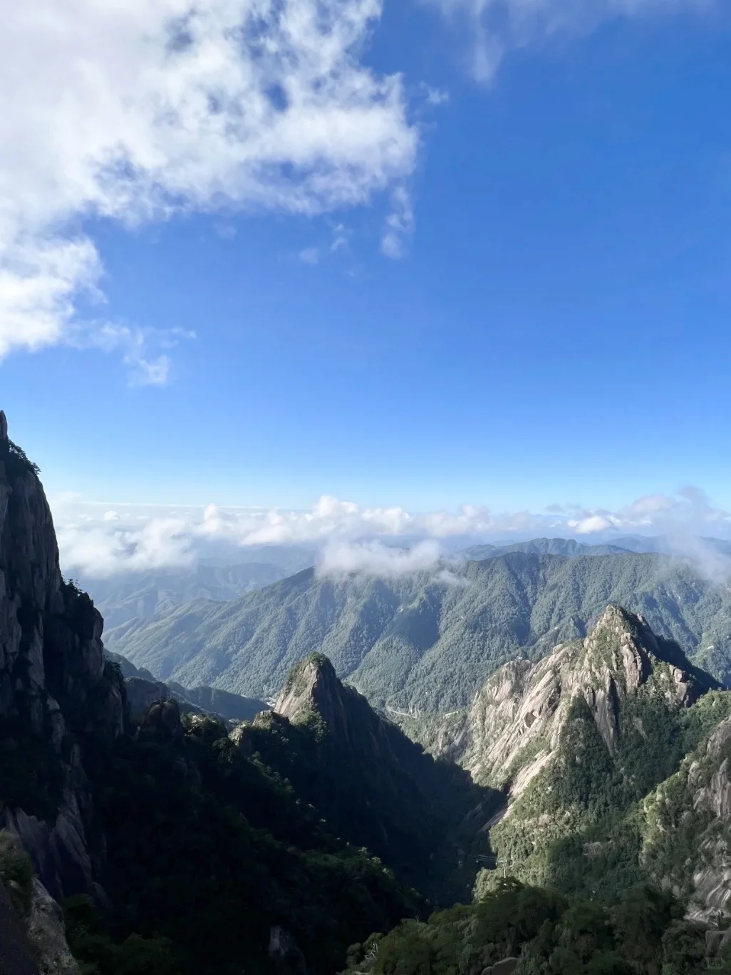 胰岛素抵抗运动+补维D+饮食自愈分享