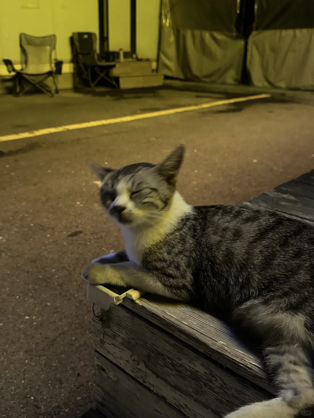 有种自由是穿衣自由 无拘无束的臭美???