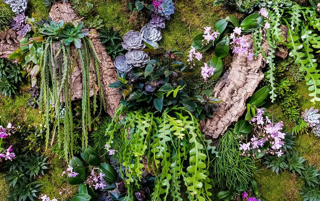 【盈拓展览】荷兰阿姆斯特丹国际花卉交易会