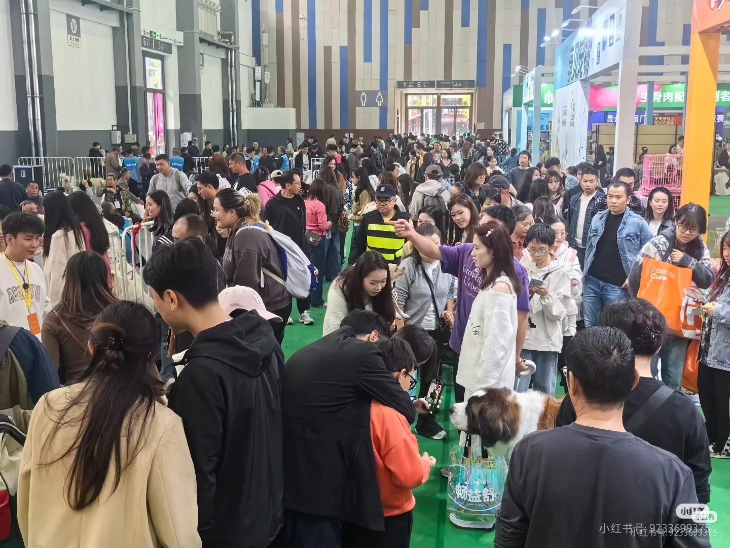 2025咖宠·中国（厦门）宠物博览会报名中…