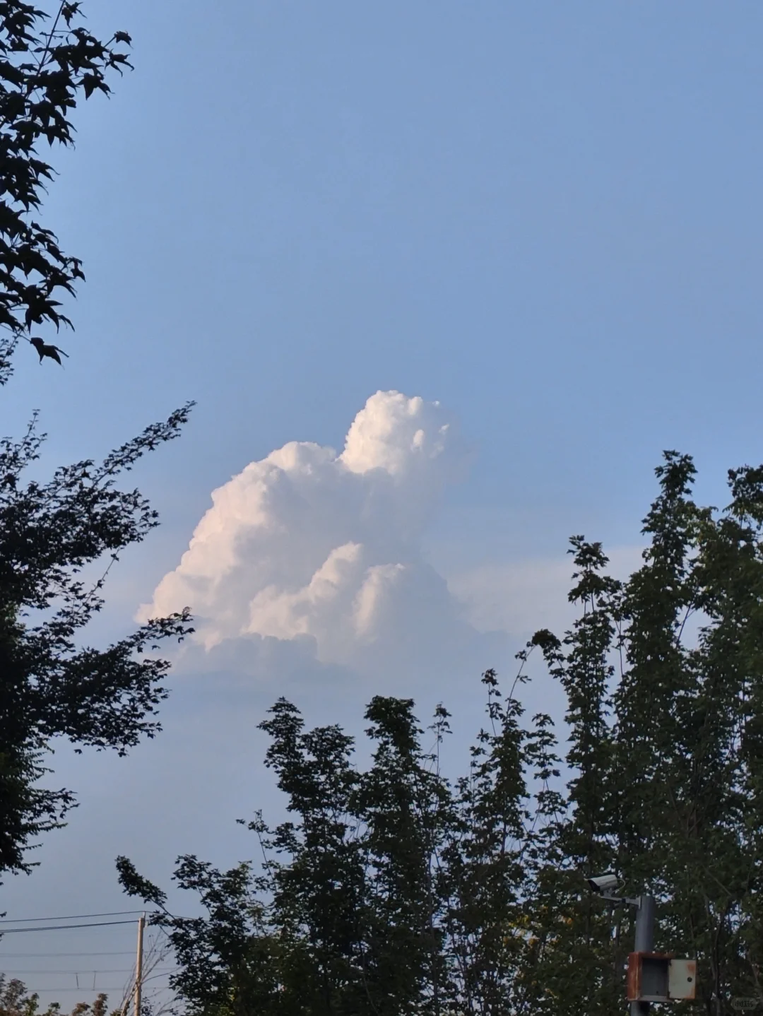 胰岛素抵抗运动经验分享