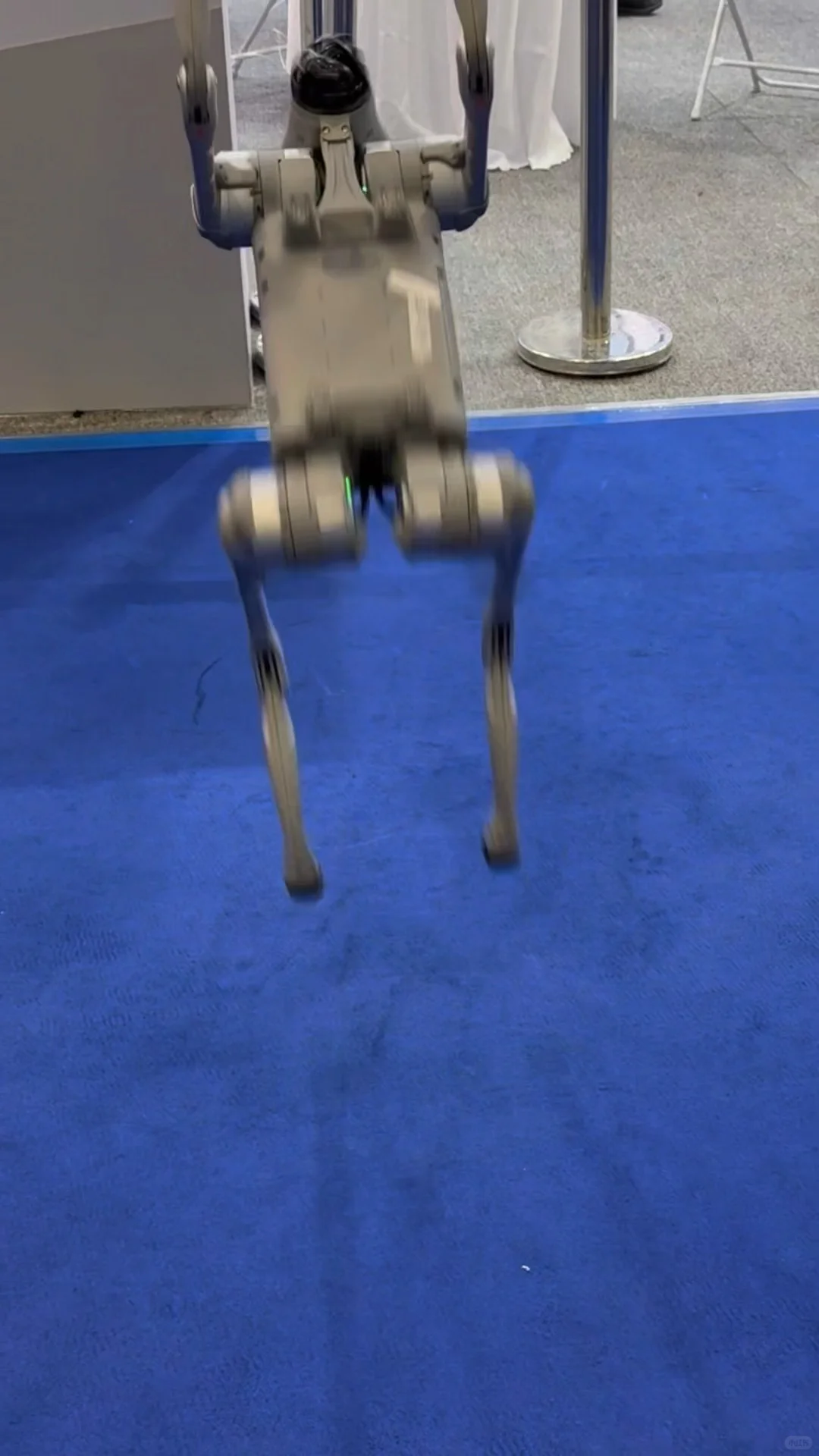 ?2025第十五届长春东北亚博览会攻略