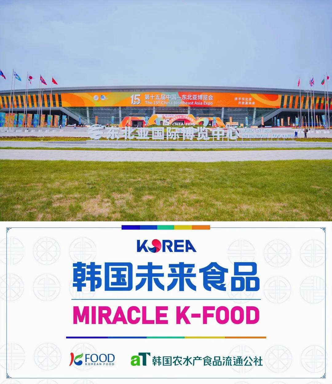 主持生涯高光时刻✨ 东北亚博览会的精彩邂逅