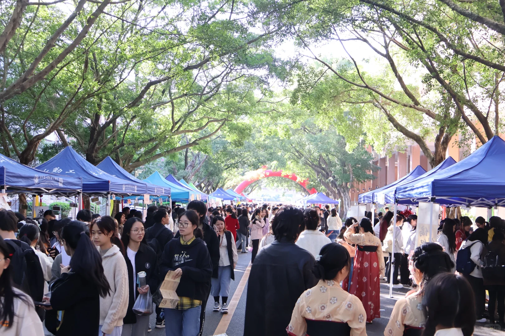 又是一周文化节?