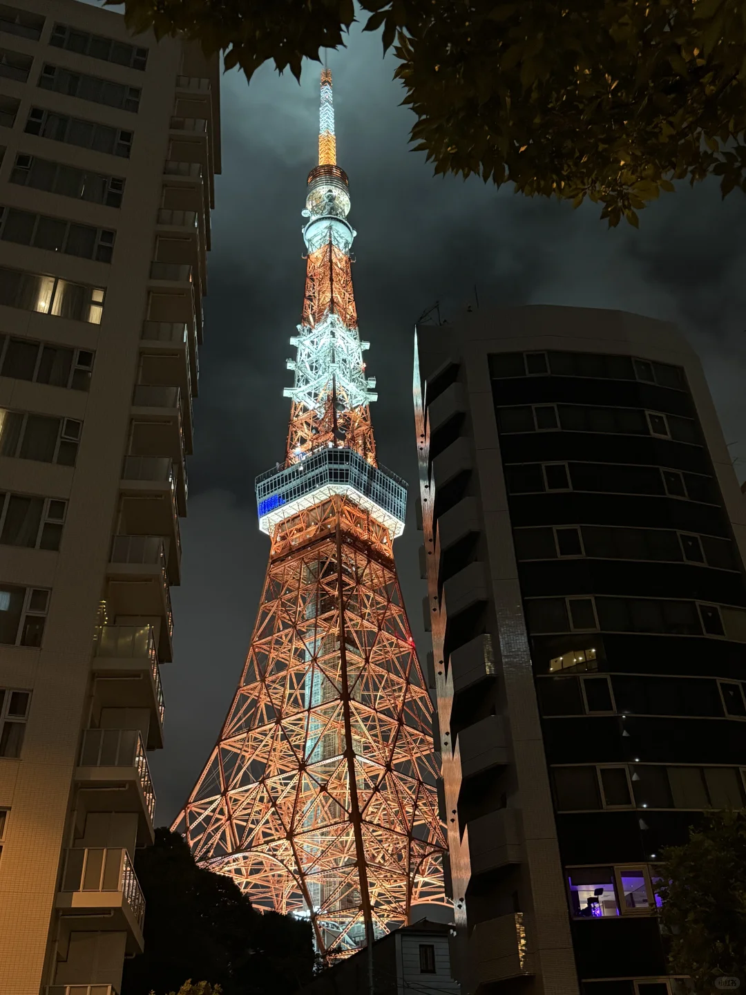 展会｜东京时尚展精彩看点抢知，免费报名领取