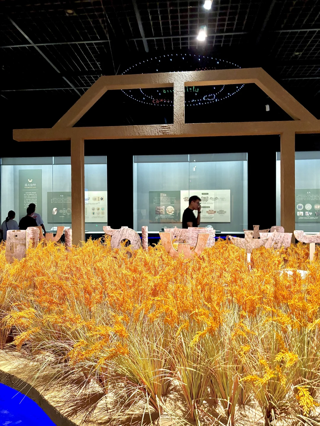 石家庄，免费新展太震撼了！?