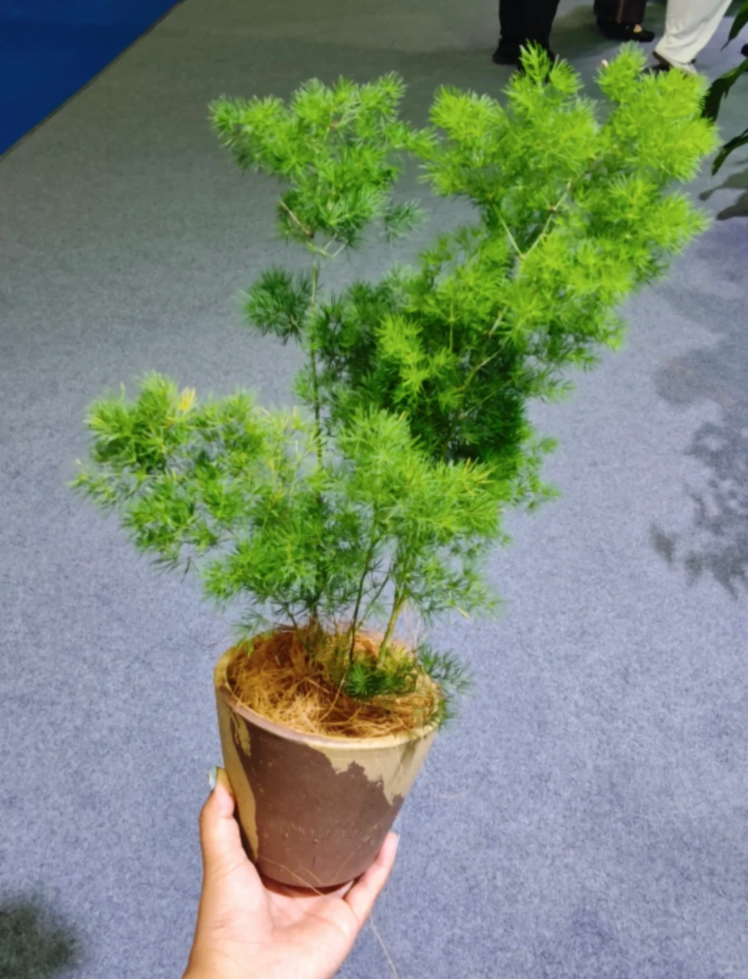 受邀参加广博会，欢迎路过