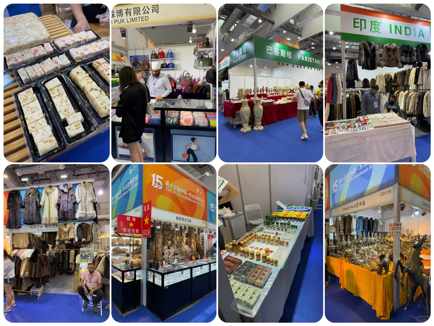 ?2025第十五届长春东北亚博览会攻略