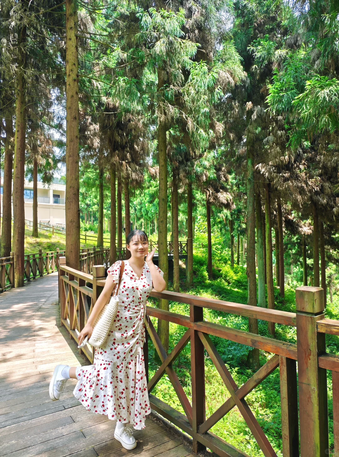 多囊的一年减肥过程