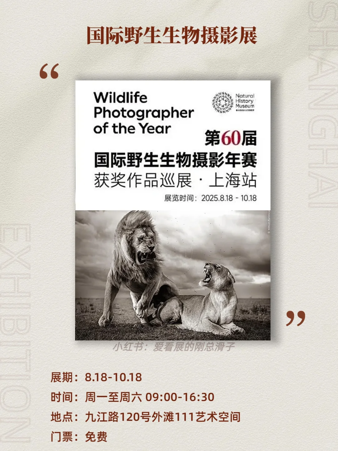 上海9月新展！高质量展览好多王炸?码住！