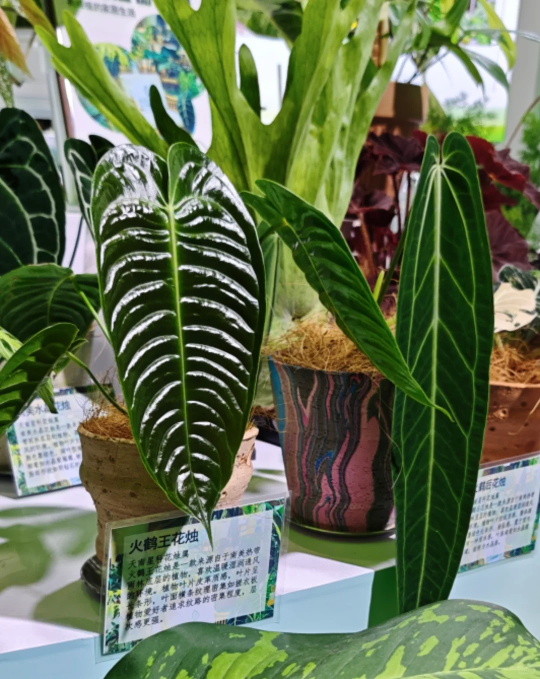 受邀参加广博会，欢迎路过