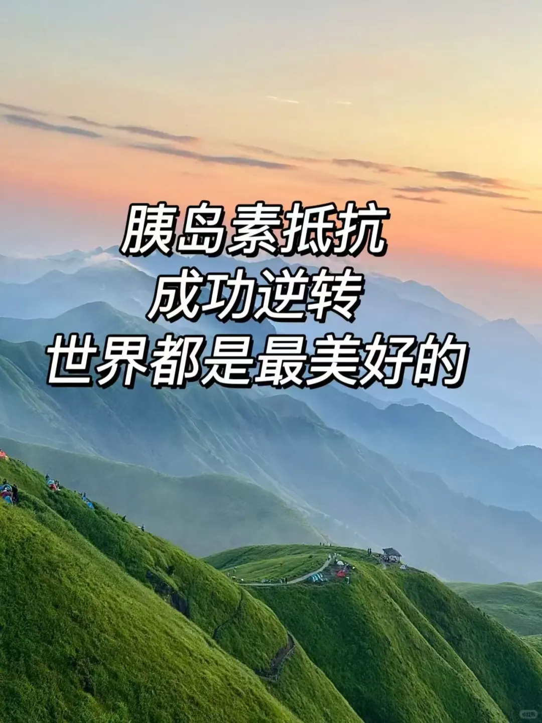 热烈庆祝我的胰岛素抵抗全部消失