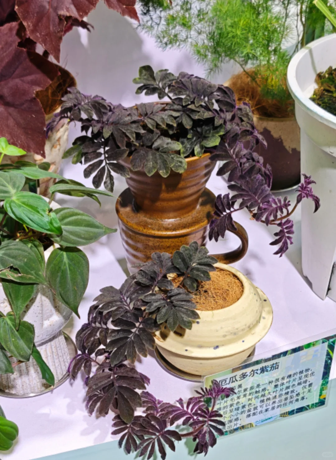 受邀参加广博会，欢迎路过