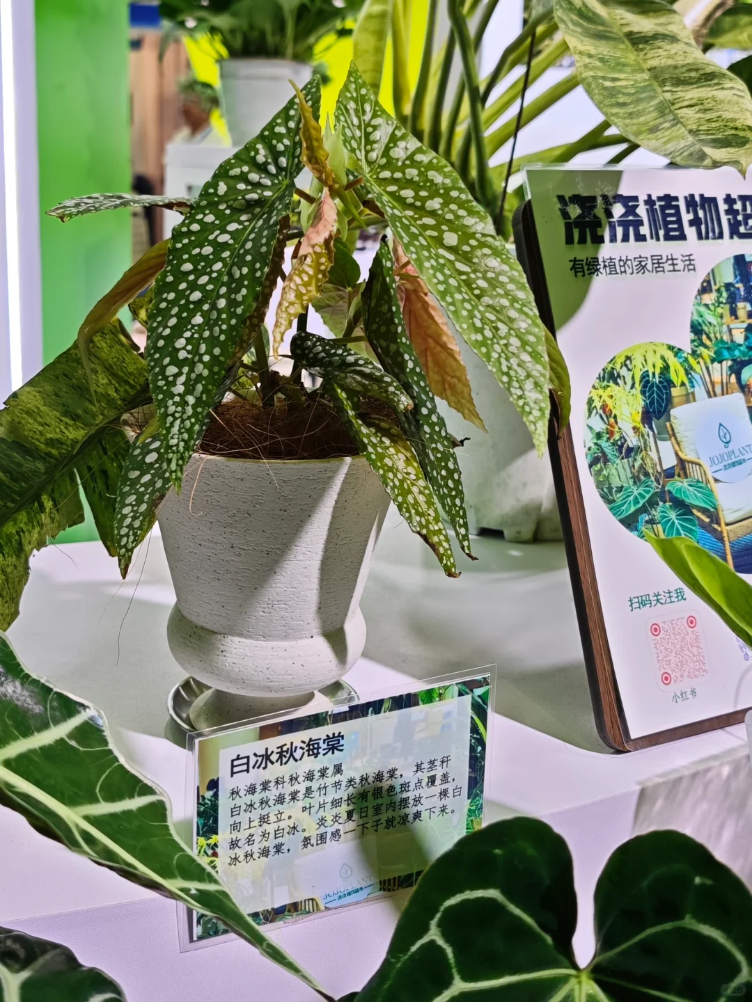 受邀参加广博会，欢迎路过