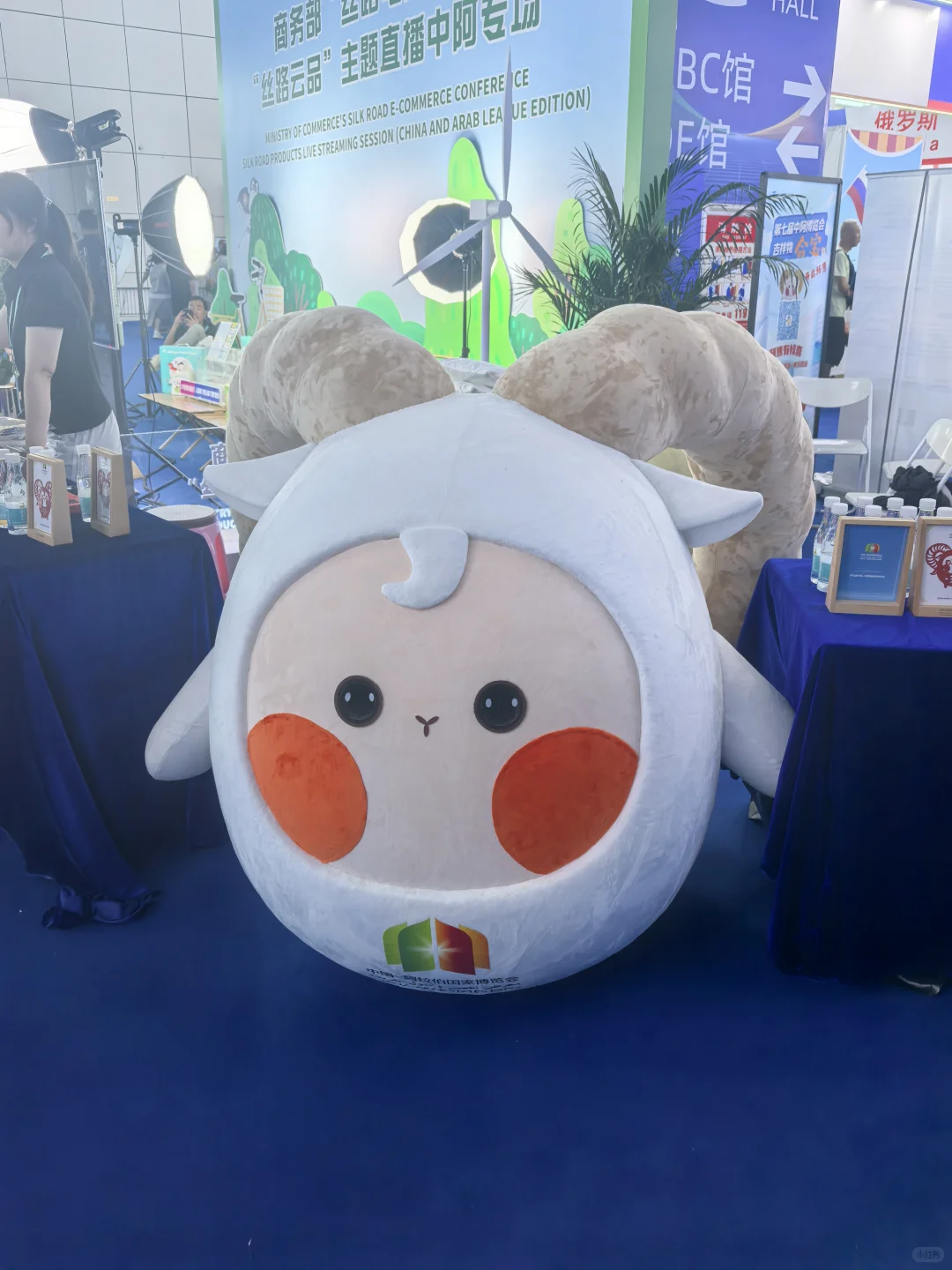 宁夏银川第七节中阿博览会