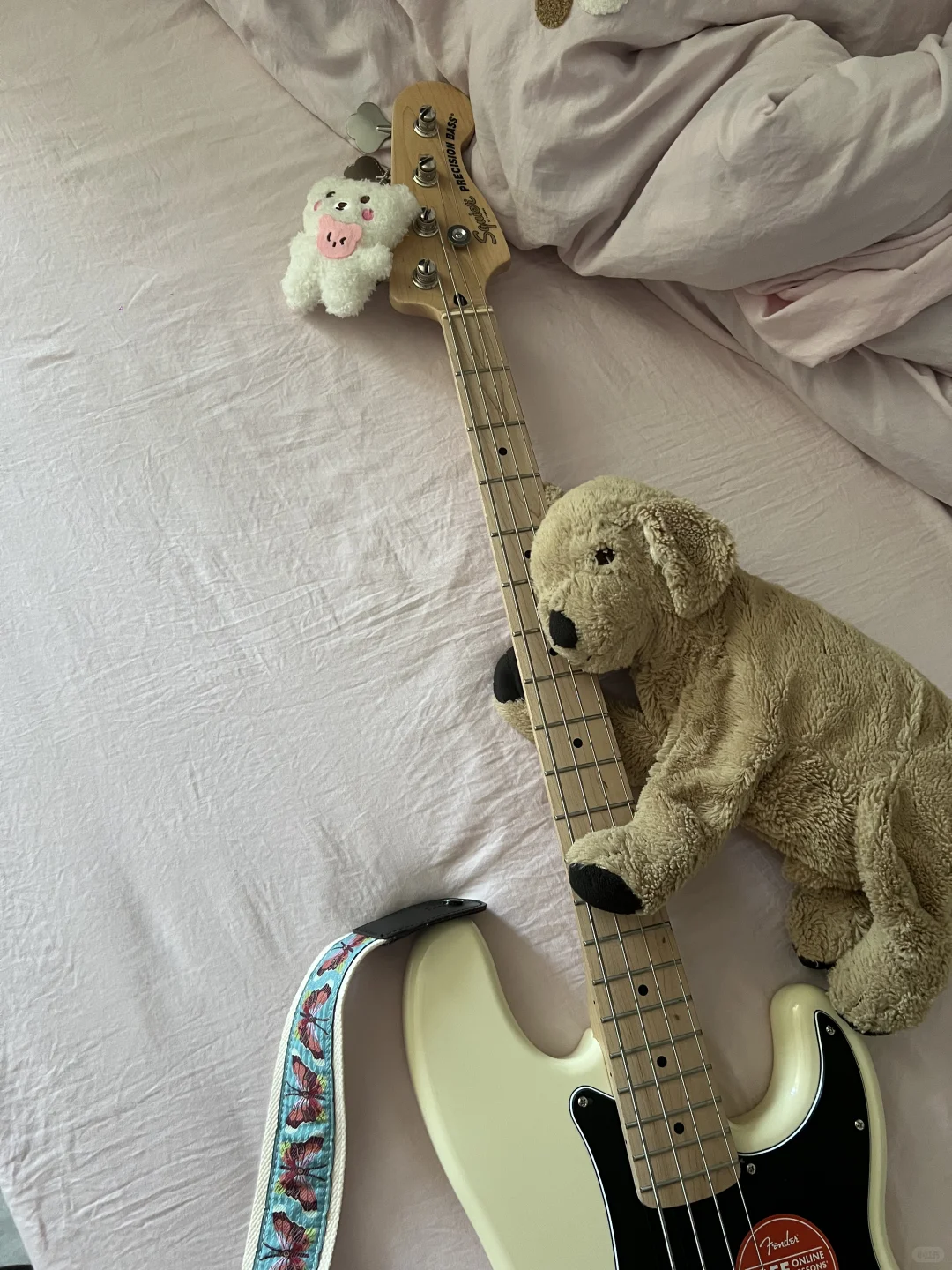 爱与温柔要给懂得同样赋予的人