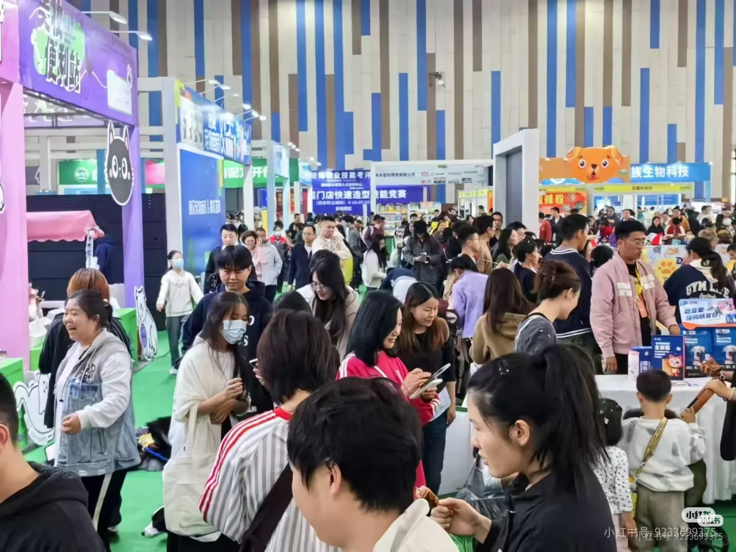 2025咖宠·中国（厦门）宠物博览会报名中…