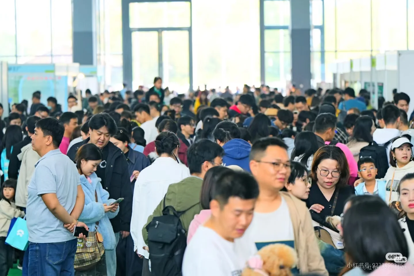 2025咖宠·中国（厦门）宠物博览会报名中…