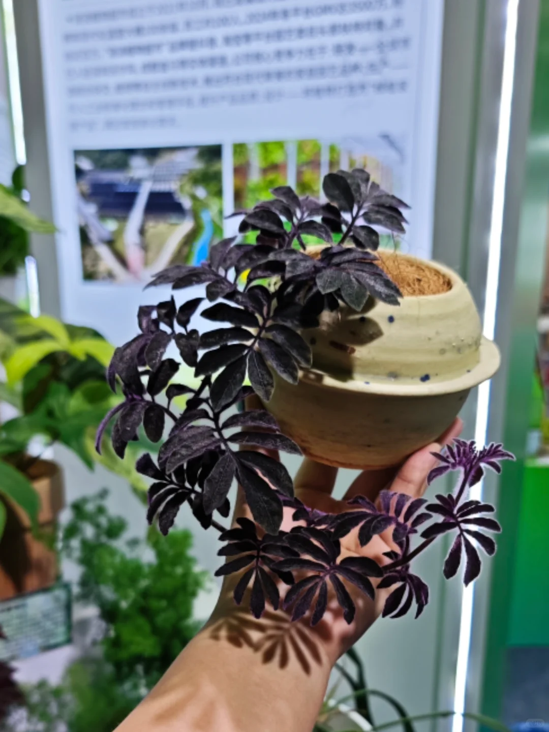 受邀参加广博会，欢迎路过