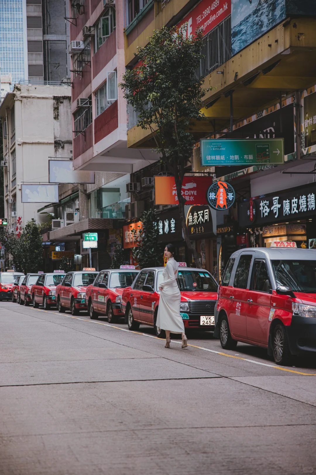 感觉新闻女王2真的要来了要来了！