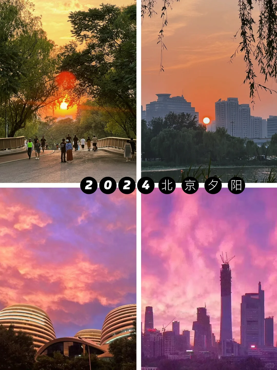 恭喜一下41岁独居的我,正在过i人的理想生活