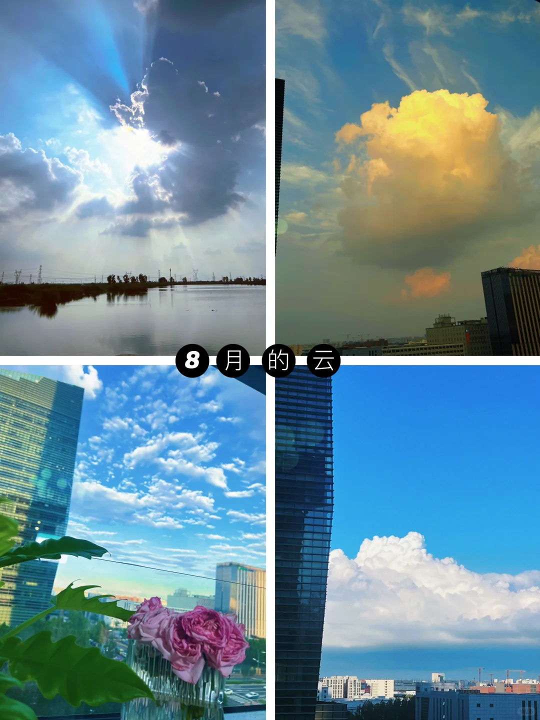 恭喜一下41岁独居的我,正在过i人的理想生活