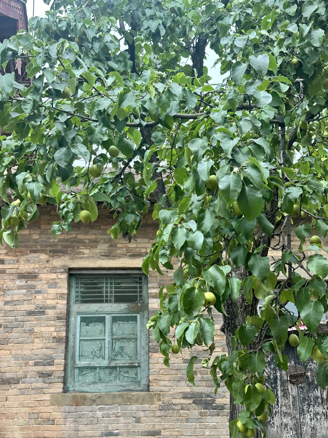 政务讲解｜纪实