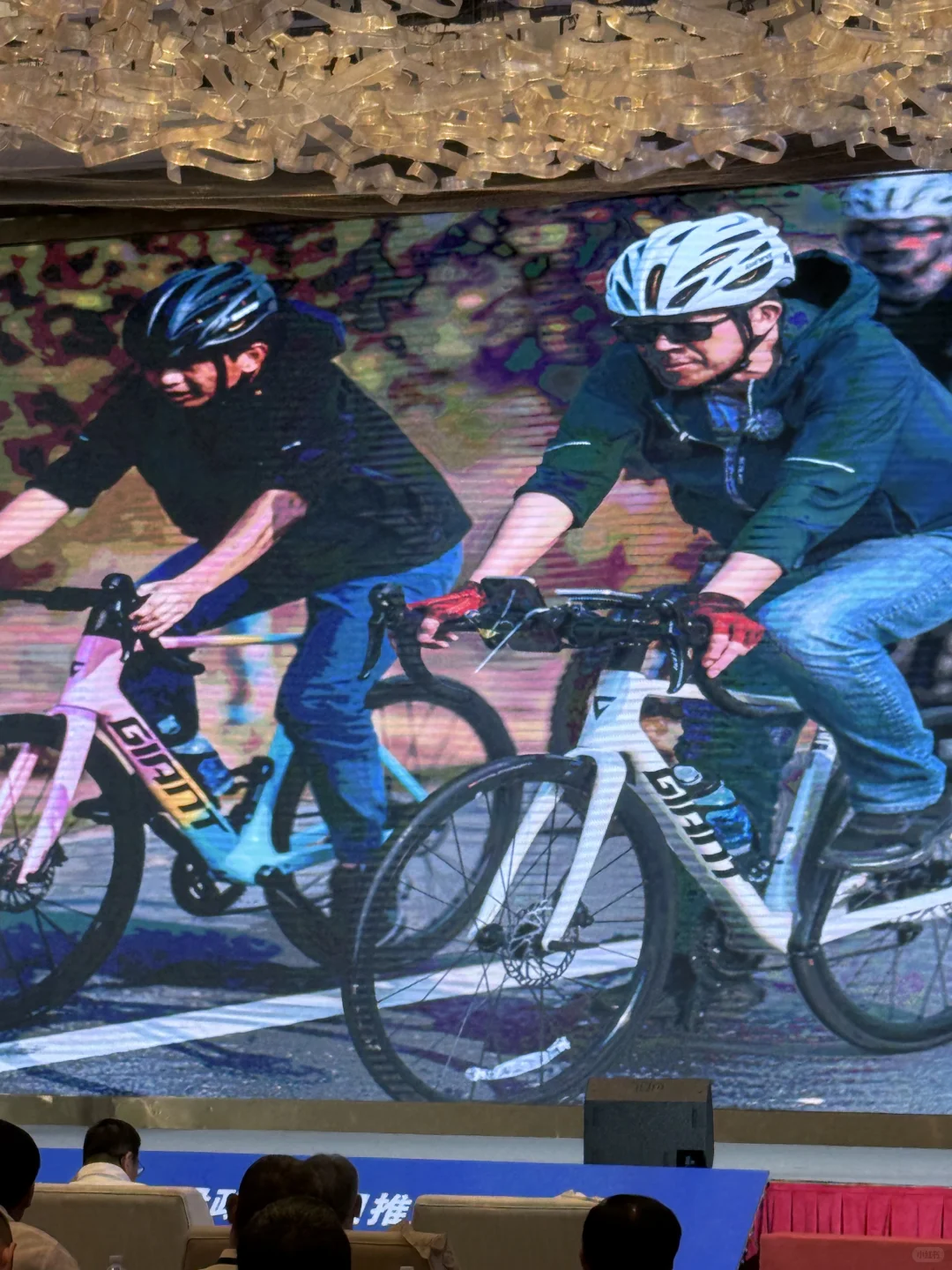 支持民营企业参与自贸港建设推介会?