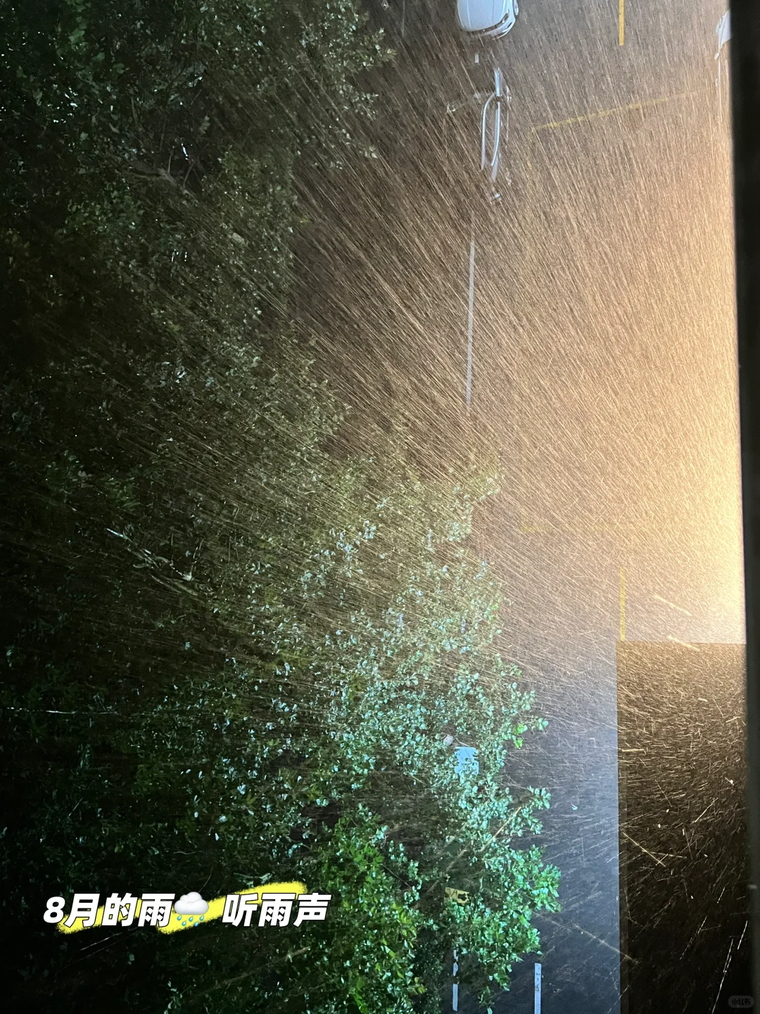 恭喜一下41岁独居的我,正在过i人的理想生活