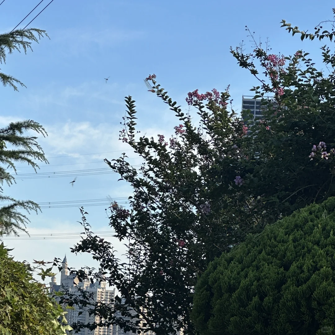 270斤｜胖mm梨形大码辣妹千禧风穿搭