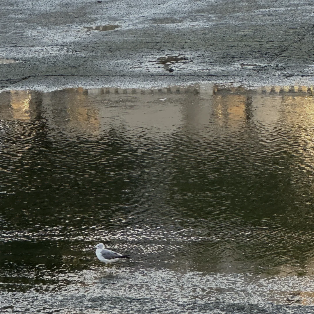 270斤｜胖mm梨形大码辣妹千禧风穿搭