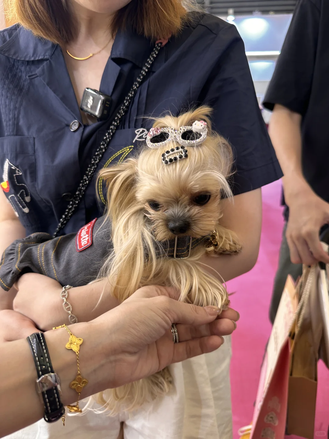 包装设计师勇闯亚宠展的一天